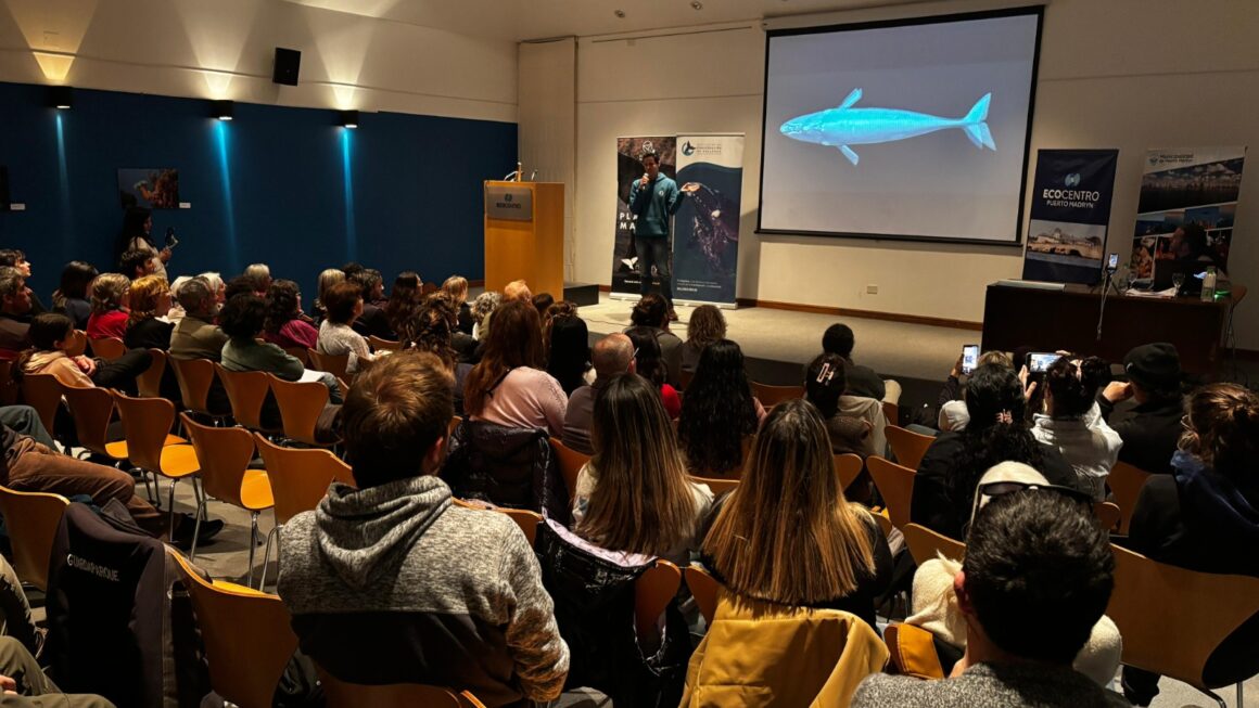 Se Llevó Adelante Un Encuentro De Actualización Sobre Ballenas Y Aves