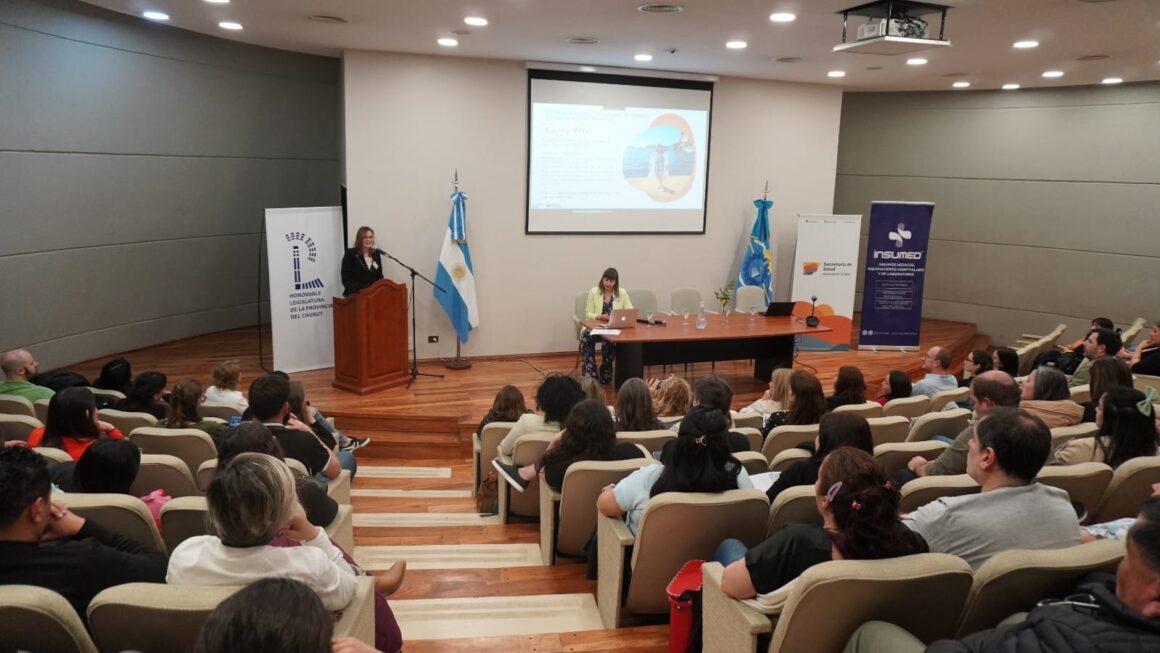 Salud: Más de 150 personas participaron de las “1º Jornadas Provinciales de Calidad y Seguridad de las Personas”