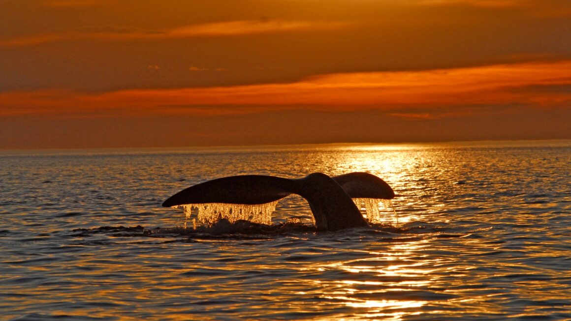Fuerte movimiento turístico en Chubut durante el fin de semana largo