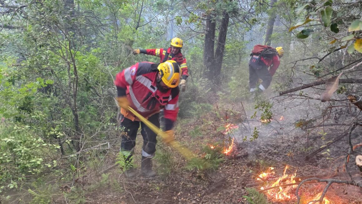 Provincia continúa con el amplio despliegue para controlar el incendio en El Pedregoso