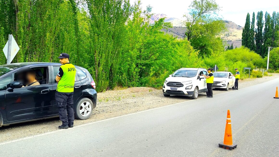 Provincia controló cerca de 9.000 vehículos y retiró de la vía pública a 74 conductores durante el fin de semana largo