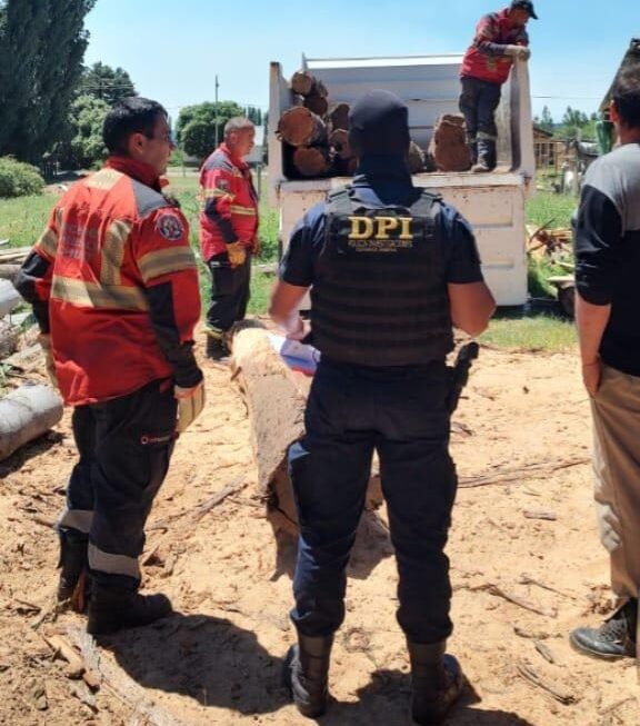 Operativo “Escudo Ecológico”: La Policía del Chubut desarticuló una red de actividad forestal ilegal en la Comarca Andina
