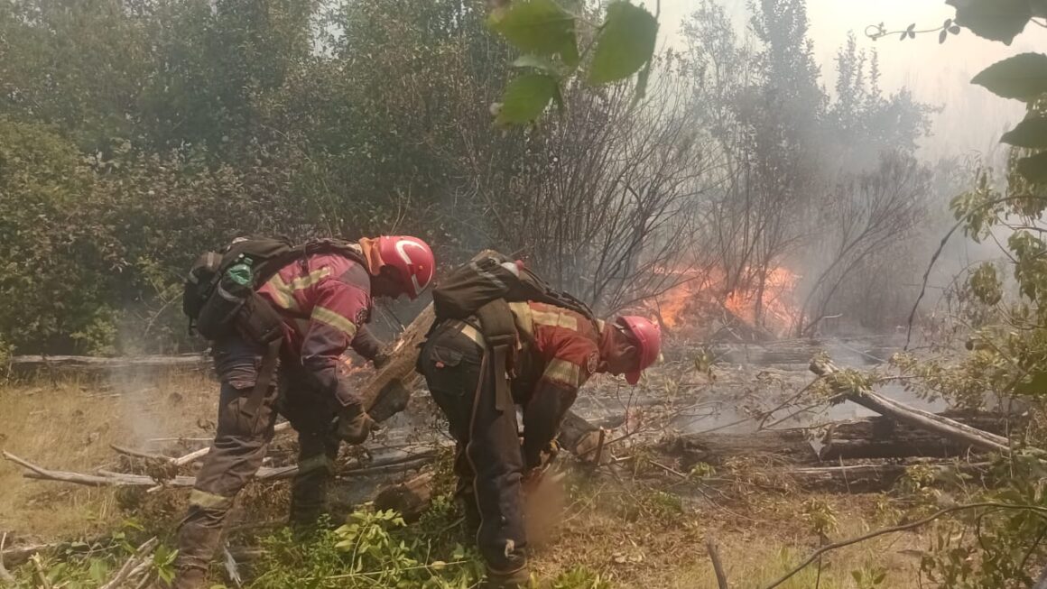 Provincia sigue con el intenso operativo para controlar el incendio forestal en El Turbio