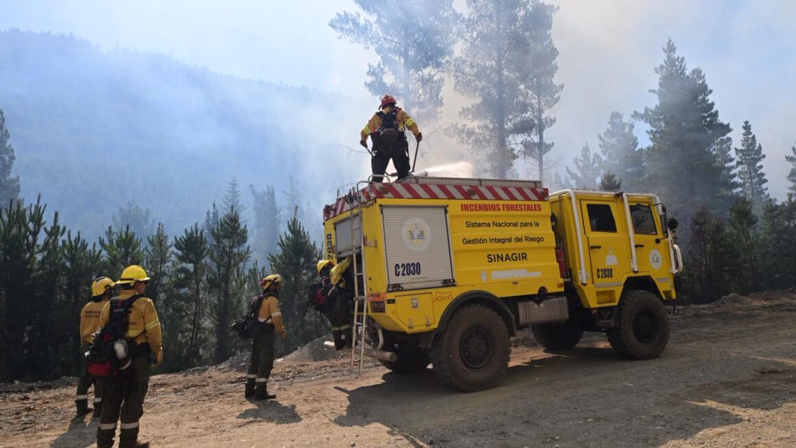 Con más de 230 personas y 6 medios aéreos, continúa el fuerte operativo para controlar el incendio en Puerto Patriada