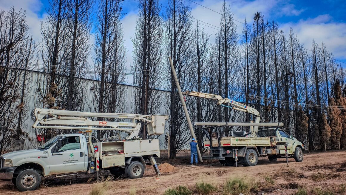 Avanzan las obras para reparar lo afectado por el incendio en el parque pesquero.