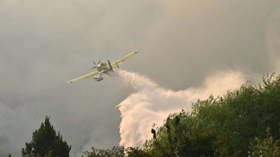 Despliegue total: cerca de 500 personas y 8 medios aéreos combaten el incendio forestal en Puerto Patriada