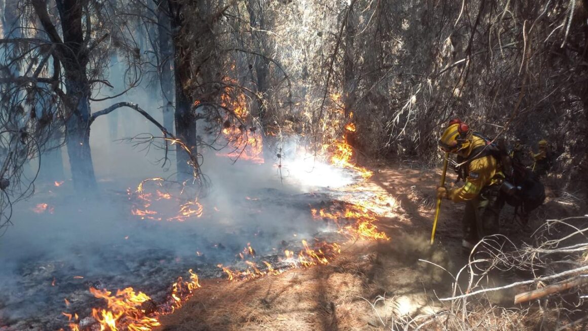 Provincia y Nación intensifican el operativo para combatir el incendio forestal en el Parque Los Alerces 