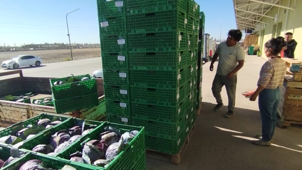 Provincia avanza en la apertura de nuevos mercados para productores del Valle Inferior del Río Chubut