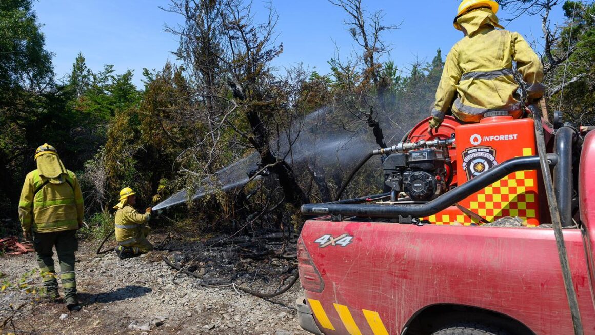 Provincia intensifica los operativos para combatir los incendios en la Cordillera y dispuso el cierre temporal de un tramo de la ruta 71