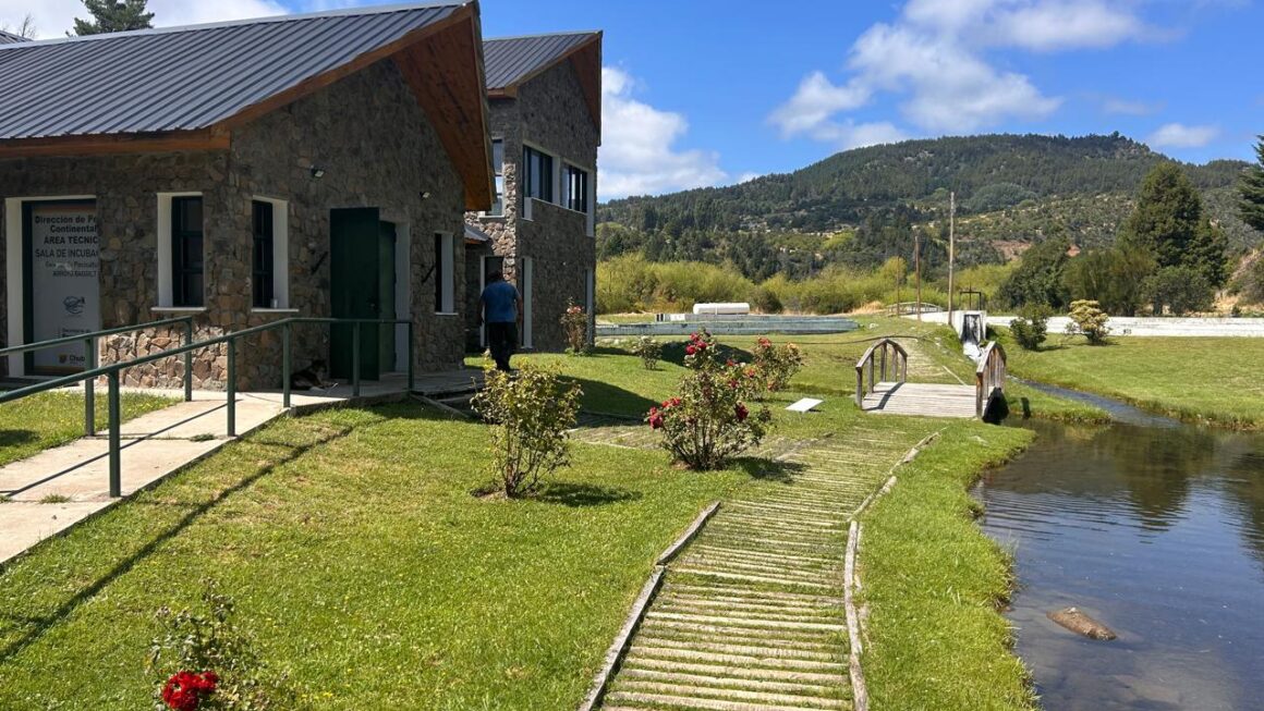 Provincia instaló antenas de internet en la Piscicultura Bagillt y en el puesto de Lago Vintter