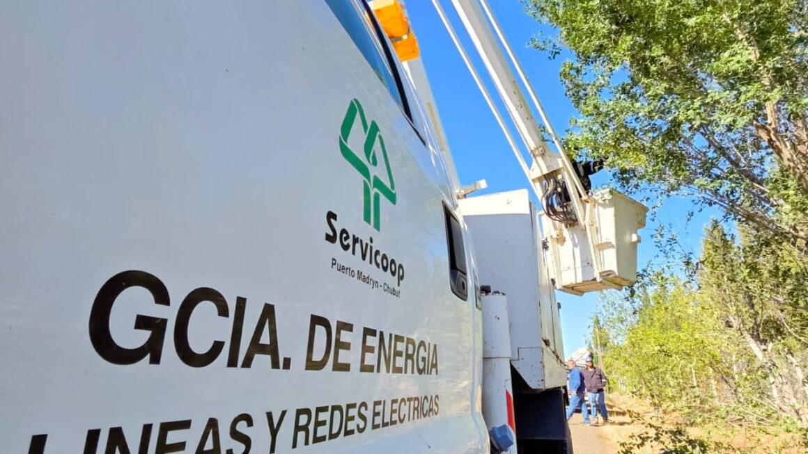 Despeje aéreo de redes de media tensión, en la zona norte de la ciudad.