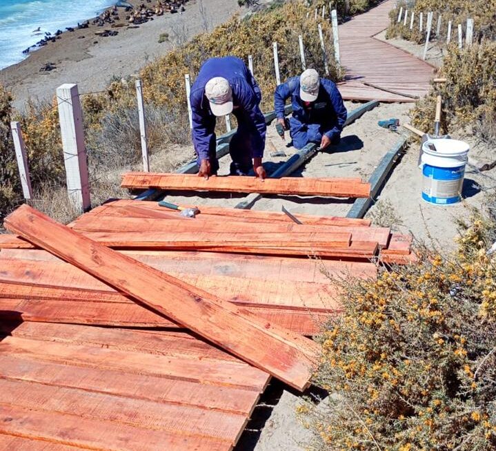 El Área Natural Protegida Península Valdés se prepara para la nueva temporada de orcas