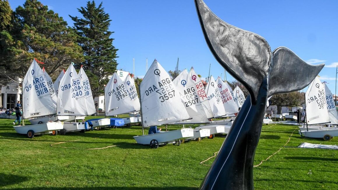 Se Viene La XIX Edición De La Copa De Las Ballenas