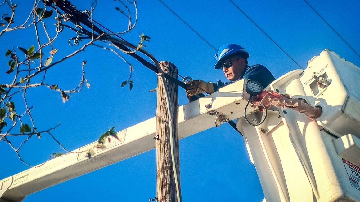 Nuevas columnas de hormigón para fortalecer el tendido eléctrico.