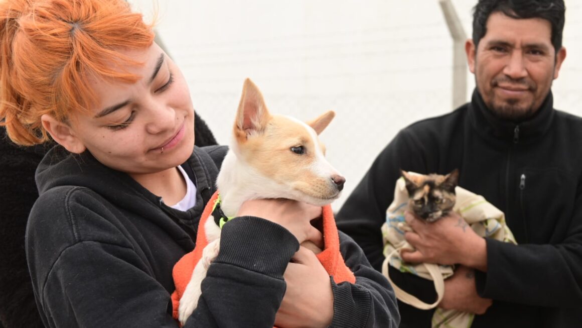 Las Campañas De Cuidado Responsable De Animales Llegan A Tu Barrio