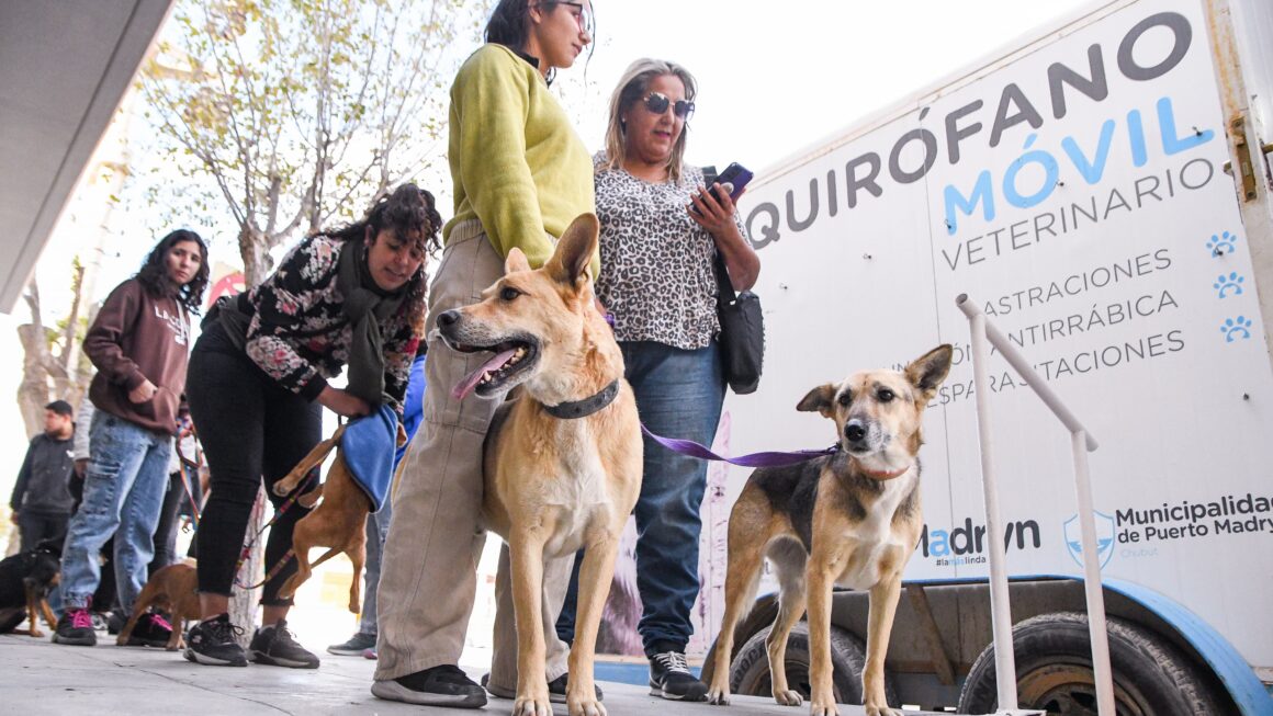 Las Campañas De Cuidado Responsable De Animales Llegan A Tu Barrio