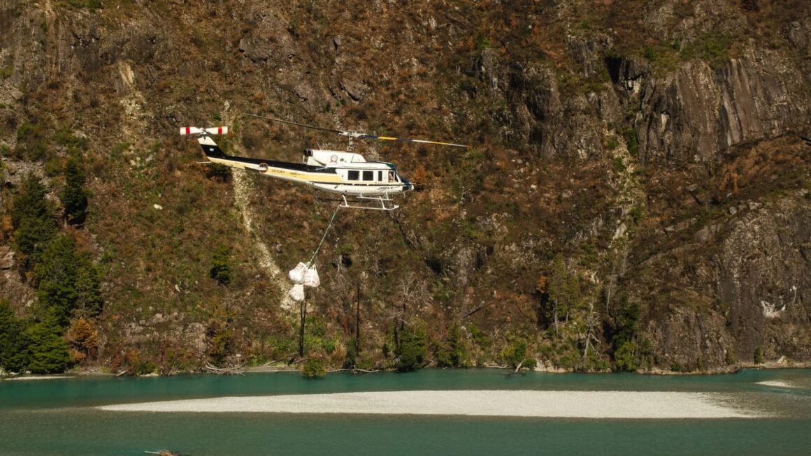 Hito en la restauración de bosque nativo: Chubut concretó el primer operativo aéreo de transporte masivo de plantines