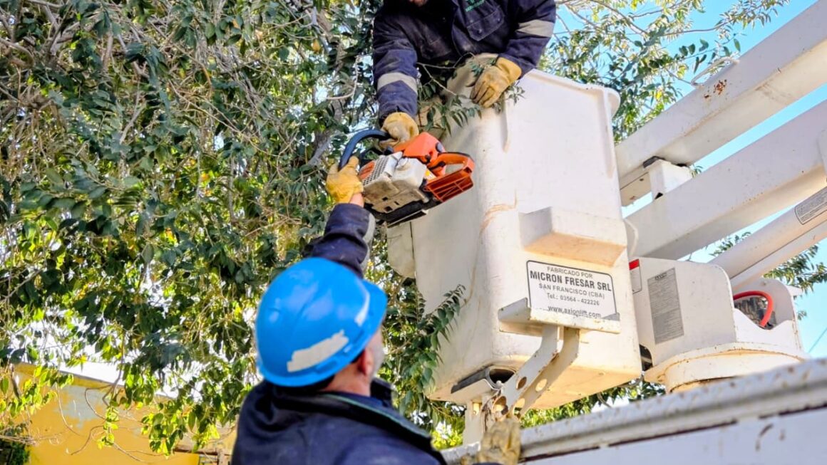 Despeje aéreo y acciones preventivas para reducir riesgos de ramas sobre el tendido eléctrico.
