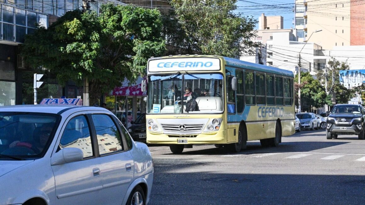 Información Para Usuarios Del Transporte Urbano