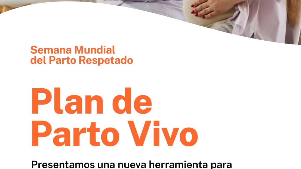 Semana Mundial del Parto Respetado: Salud presentó un programa que se implementará en las Maternidades y Hospitales Rurales