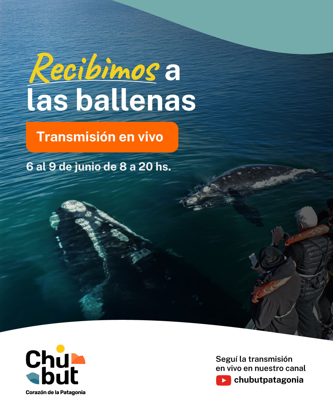 Chubut transmitirá en vivo la llegada de las ballenas a las costas de la provincia