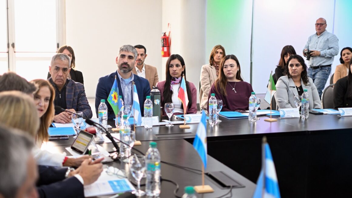 Chubut participó de la Asamblea del Consejo Federal para la Transparencia con eje en la innovación y la protección de datos