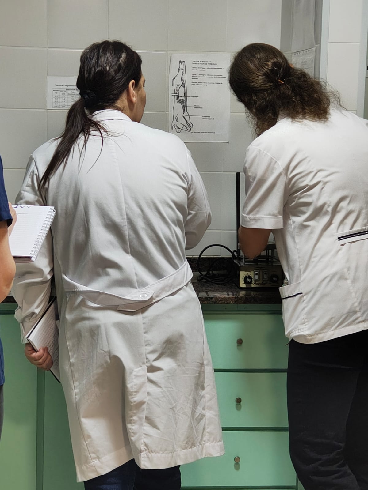 Provincia recuerda las medidas de prevención de la Triquinosis